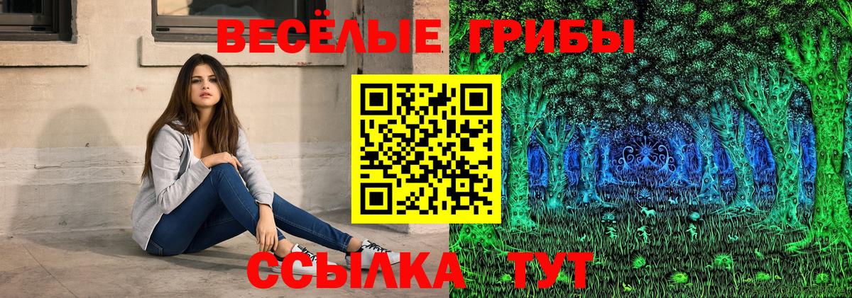Медногорск  Галлюциногенные грибы MAGIC MUSHROOMS  Вход с VPN  Галлюциногенные грибы GOLDEN TEACHER 