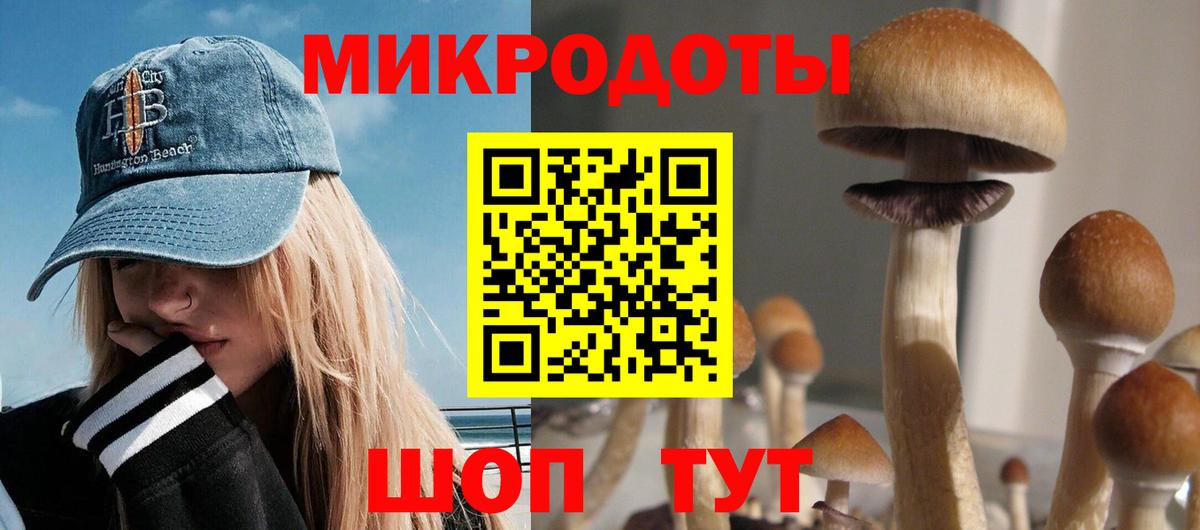 Галлюциногенные грибы прущие грибы Медногорск