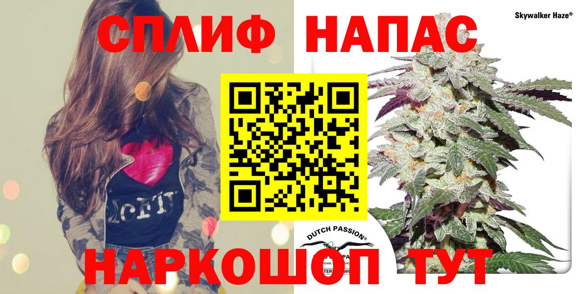 Бошки Шишки VHQ Медногорск